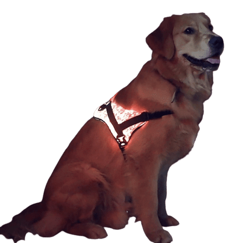 Fiber Optic Light Up LED Pet Harness For Dogs & Cats