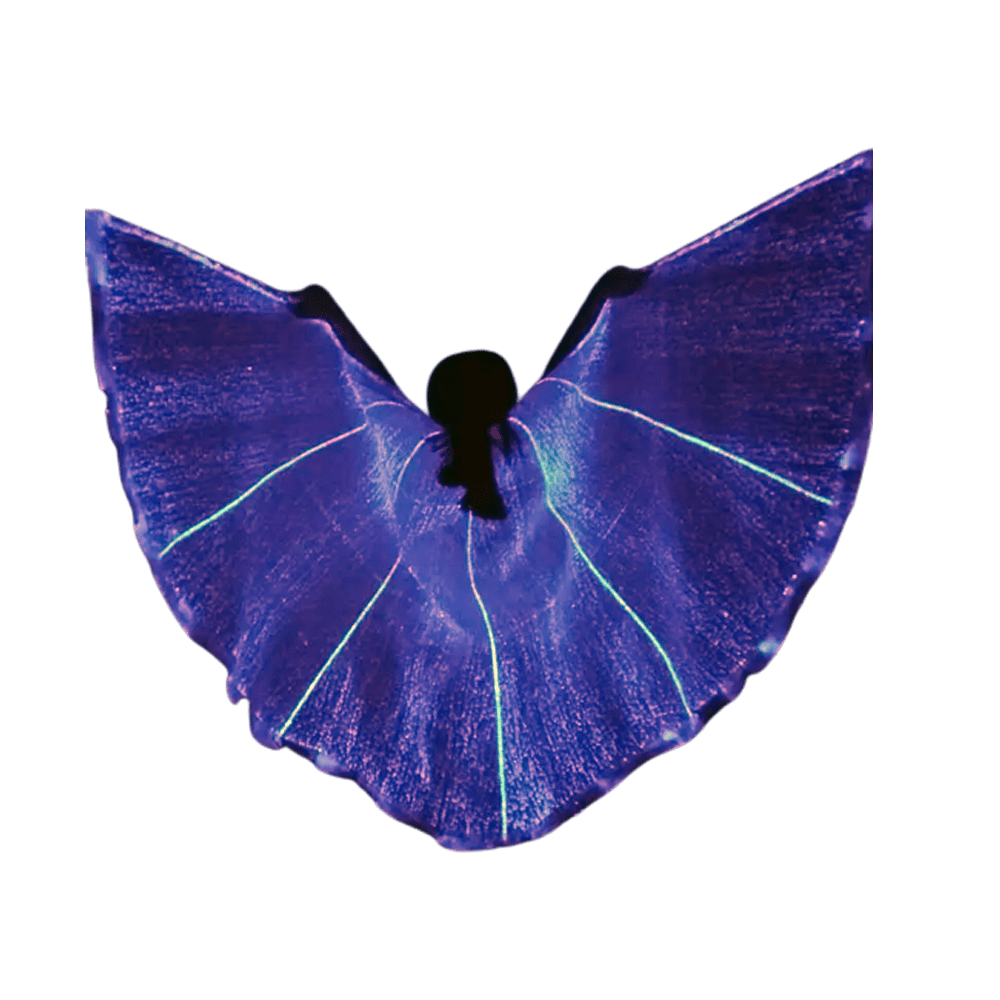 Fiber Optic Light Up Performance Costume Wings