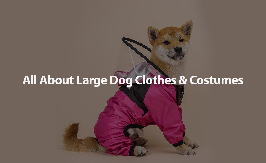 All About Large Dog Clothes and Costumes Light Up Wear